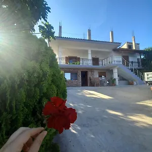 Pasha Casa vacanze